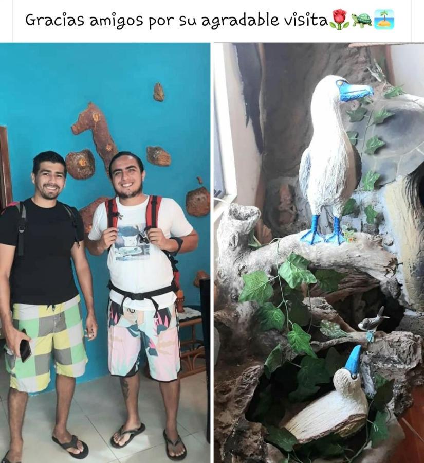 Suite Galarous Island بويرتو أيورا المظهر الخارجي الصورة
