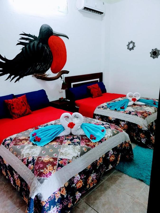 Suite Galarous Island بويرتو أيورا المظهر الخارجي الصورة