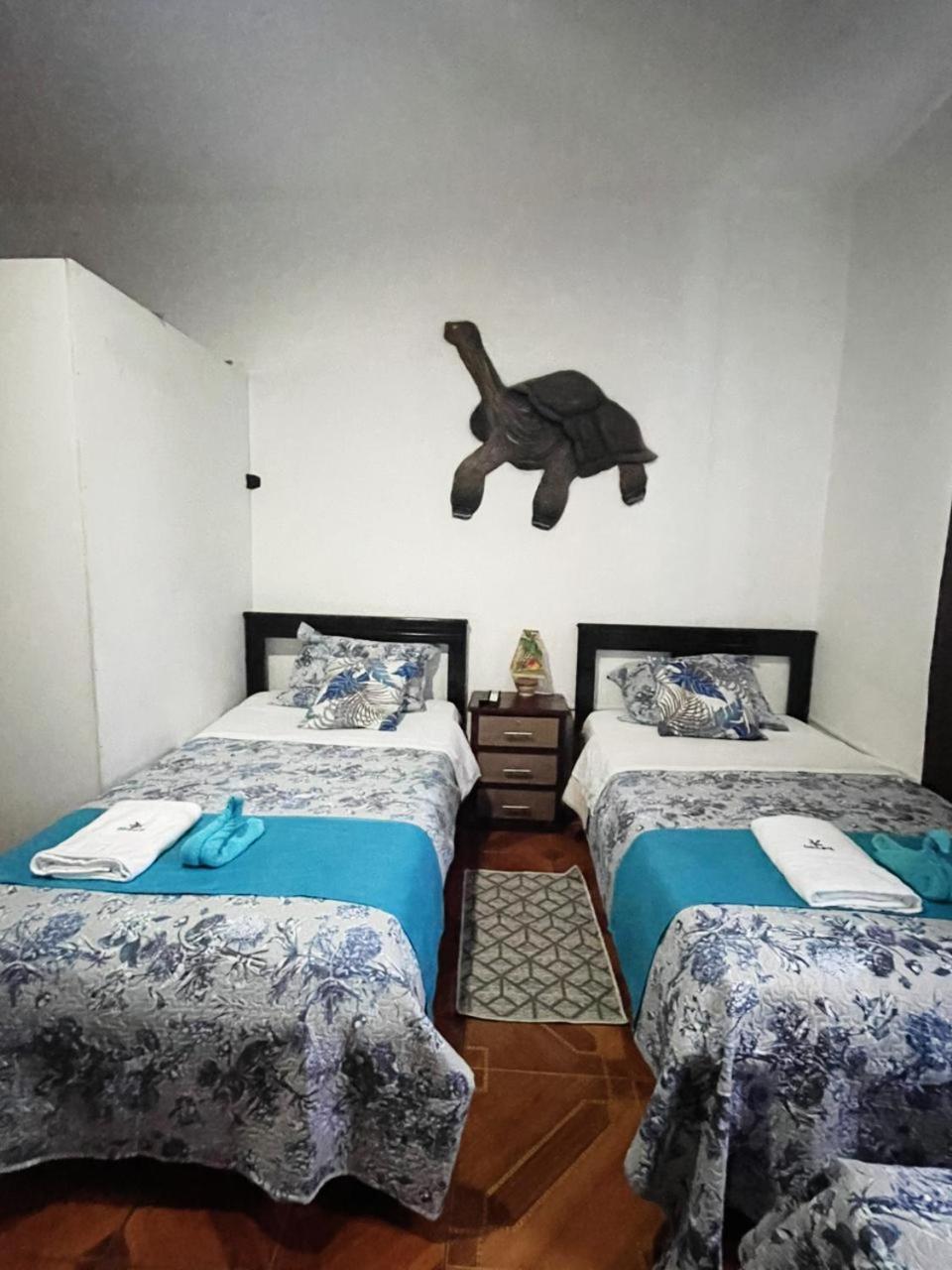 Suite Galarous Island بويرتو أيورا المظهر الخارجي الصورة